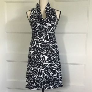 Ann Taylor Black and White Ruffle Collar Dress 4